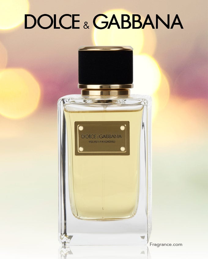 Dolce & Gabbana Velvet Patchouli Fragrance Review | Eau Talk - The Official  FragranceNet.com Blog