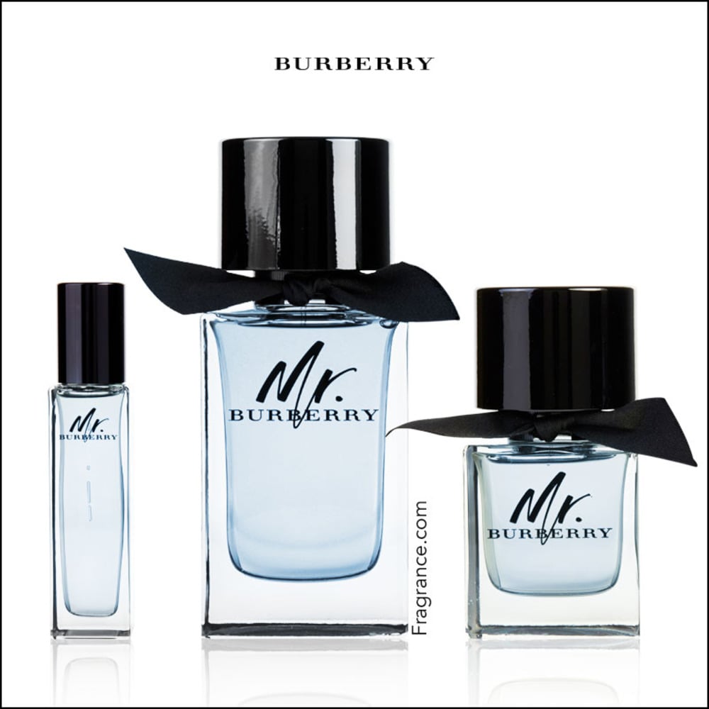 mr burberry perfume review