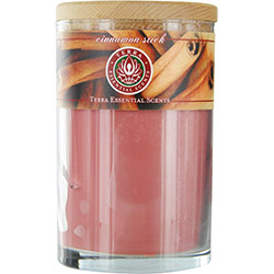 CINNAMON STICK by Terra Essential Scents for UNISEX